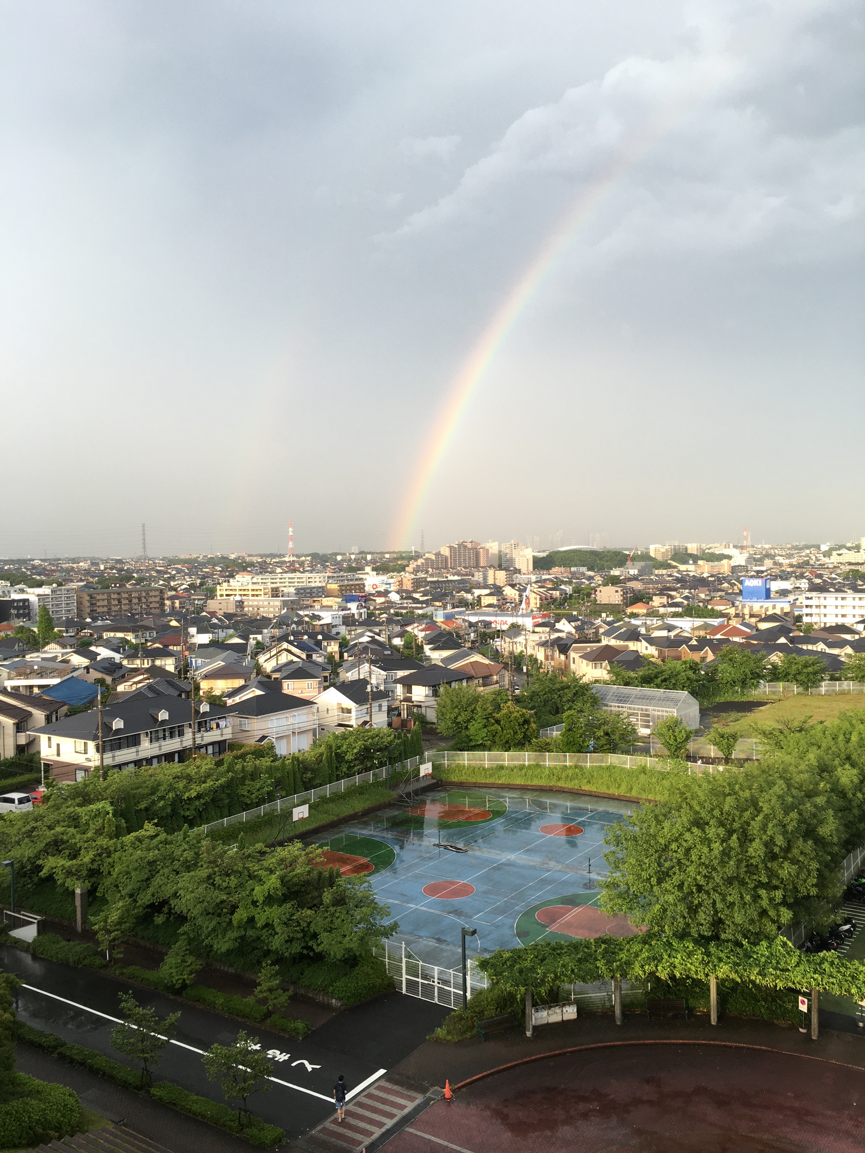 関博紀 東京都市大学 デザイン生態学研究室