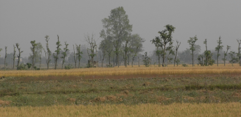 RIMG0940.JPG