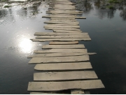 RIMG0900.JPG
