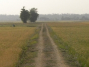 RIMG0920.JPG