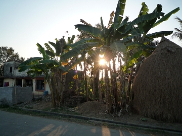 P1130247.JPG