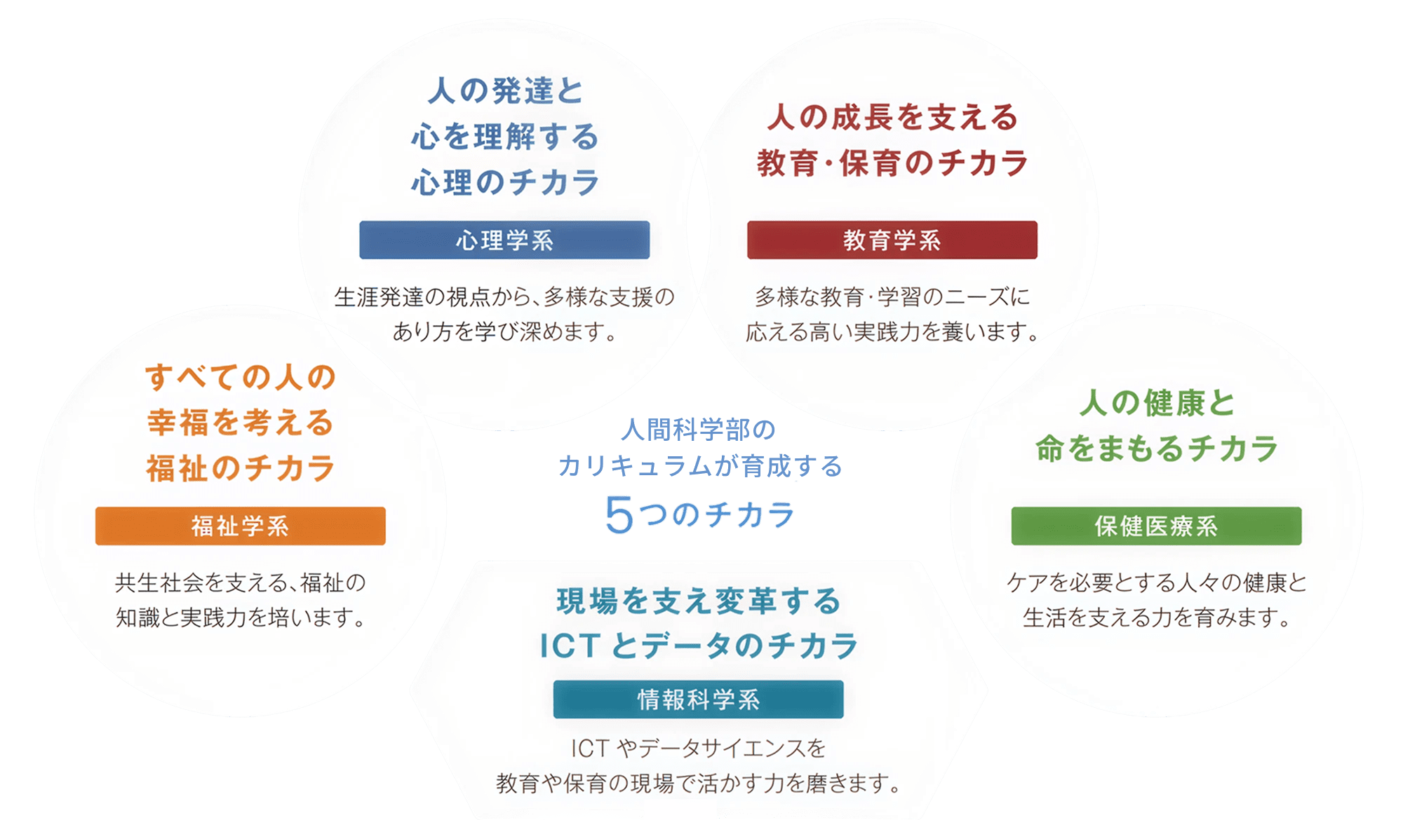 人間科学部のカリキュラムが育成する5つのチカラ