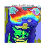 Creation of an Image Classification Model with Data Augmentation for Mixed-Breed Dog Identification(FY 2024 Graduation Research)