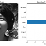 Facial Image Analysis for Emotion Prediction in Remote Environments (FY 2024 Graduation Research)