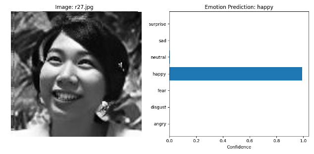 Facial Image Analysis for Emotion Prediction in Remote Environments (FY 2024 Graduation Research)