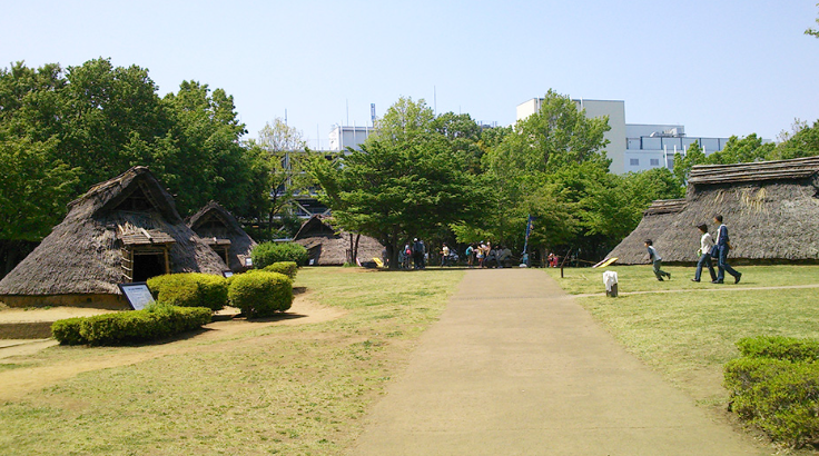 実際の横浜市大塚・歳勝土遺跡公園