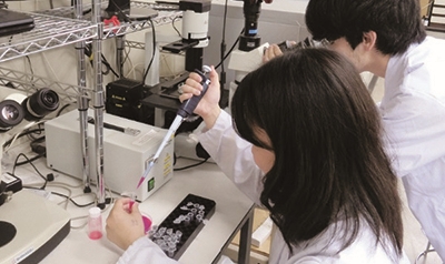 高分子・バイオ化学研究室(機能性バイオ分子)