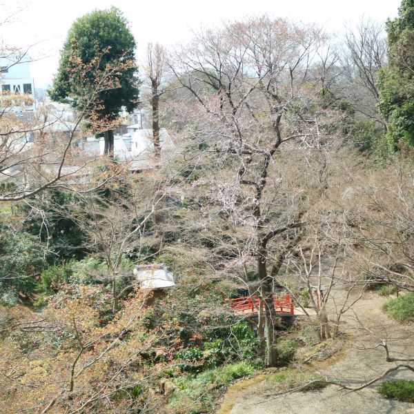 等々力不動尊