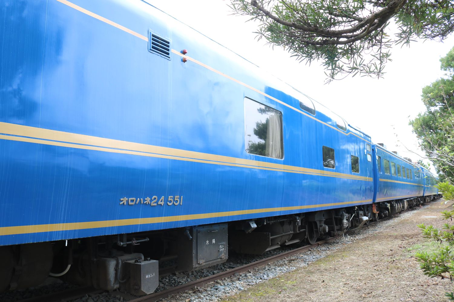 スシ24