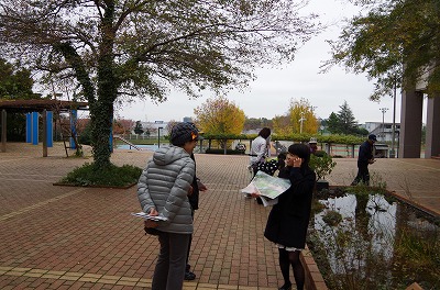 w4N_藢