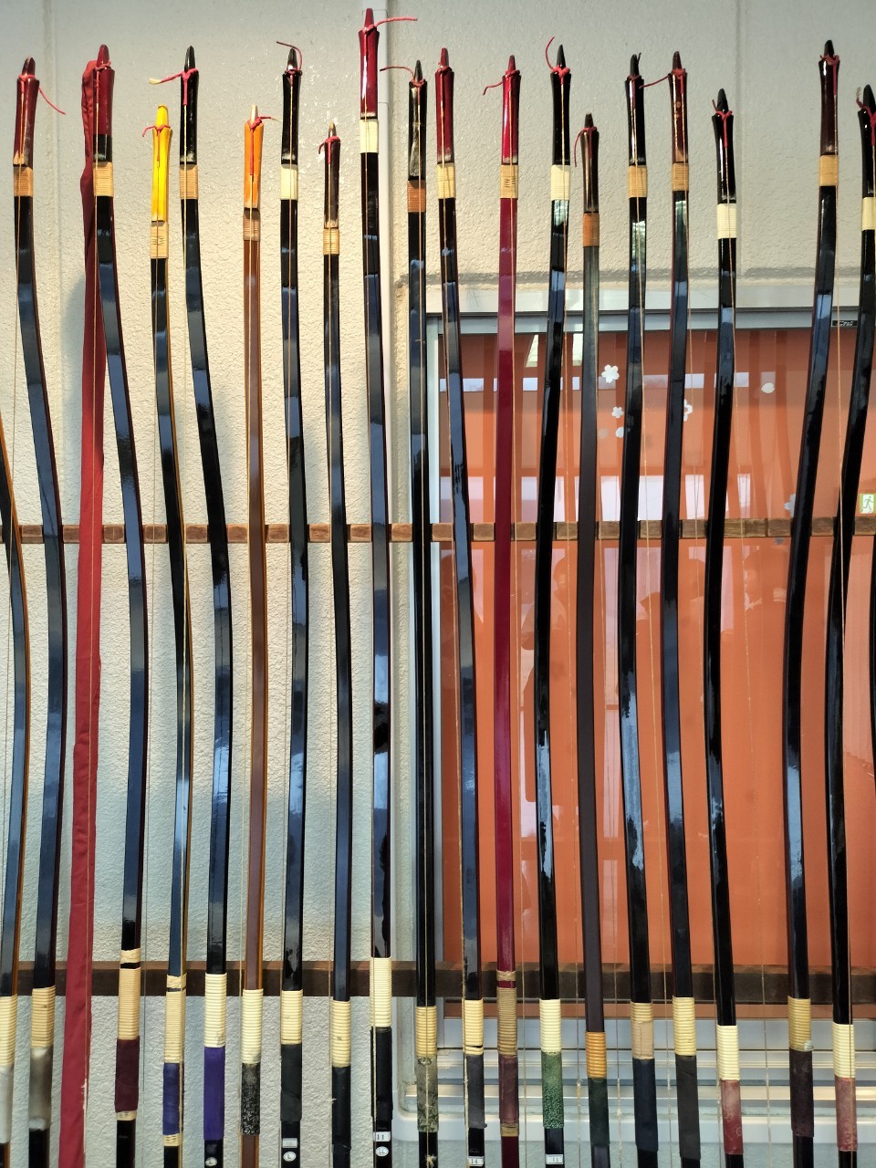 インカレの写真